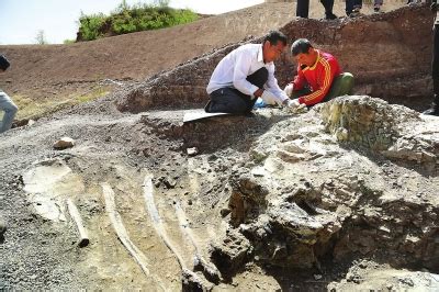 辽宁发现侏罗纪化石:哺乳动物史前推4千万年|文章|中国国家地理网