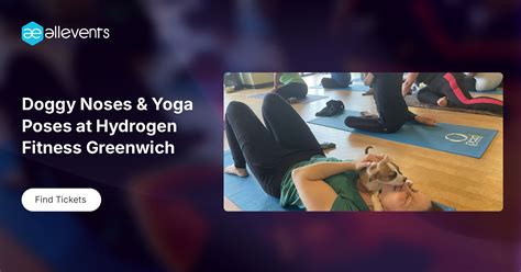 Doggy Noses & Yoga Poses at Hydrogen Fitness Greenwich, Hydrogen ...