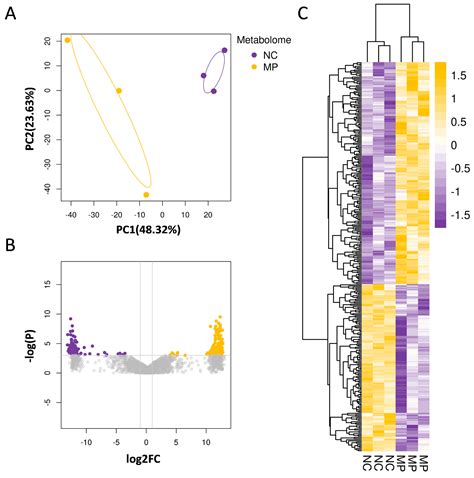Exploring Oxidative Stress and Metabolic Dysregulation in Lung Tissues ...