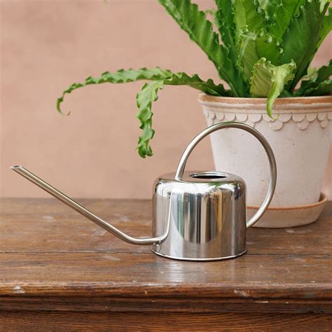 Buy Indoor stainless steel watering can: Delivery by Waitrose Garden