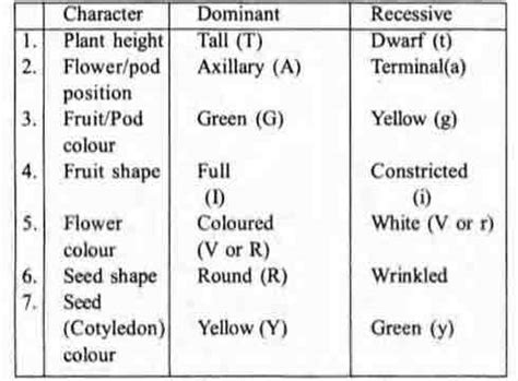 According to Mendelism, which character shows dominance?