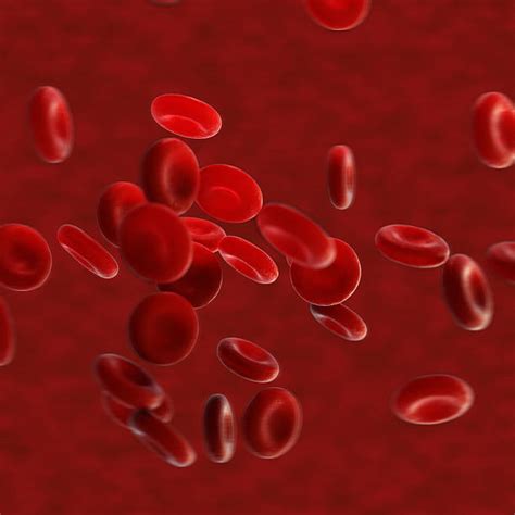 Image result for Blood Gang Handshake Tutorial