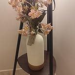 TIED RIBBONS Flower Vase (Set of 2, Multi, 9.8 & 5.5 Inches) for Home ...