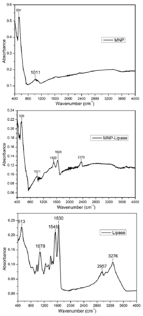 Suitability of Recombinant Lipase Immobilised on Functionalised ...