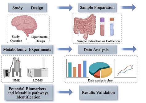 Image result for Metabolomics Tutorial