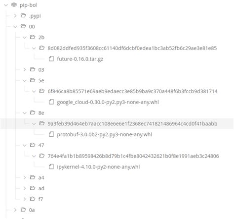 Image result for PIP Repo