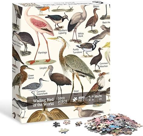 Amazon.com: Vintage Birds Puzzles for Adults 1000 Pieces and up ...