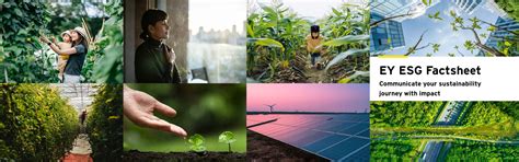 ESG Compass: Advanced ESG Reporting, Solutions, and Tools | EY - India