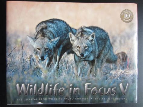 Wildlife In Focus
