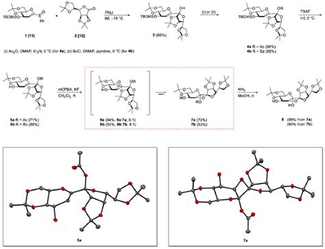 Unexpected Formation of Oxetanes during the Synthesis of Dodeco-6,7 ...