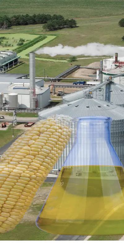 Turnkey Installation & Commissioning Services | Agrosaw