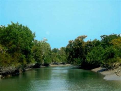 Fatrar Char (Kuakata) - 2020 What to Know Before You Go (with Photos ...