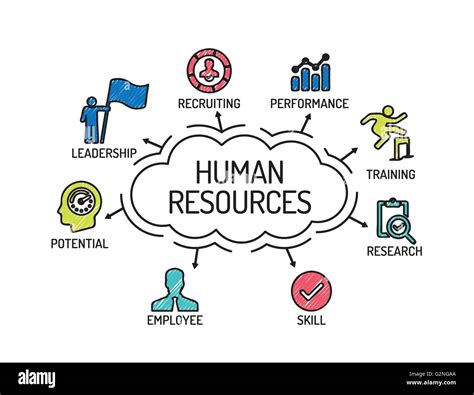 Human Resources. Chart with keywords and icons. Sketch Stock Vector Art & Illustration, Vector ...
