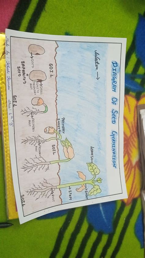 Agricultural Science Projects 的图像结果