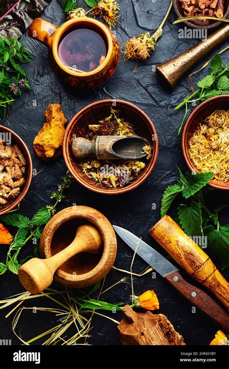 Plants for Medicine 的图像结果