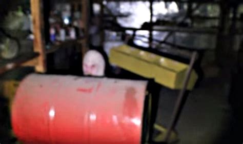 Image result for Alien Visitors Caught On Camera