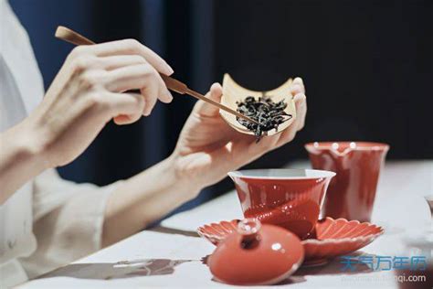 新式茶馆品牌设计-十一礼茶_鲍佳骐-站酷ZCOOL