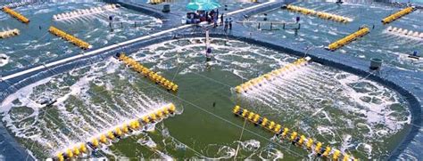 Ca Mau sets out ambitions for comprehensive development | Vietnam ...