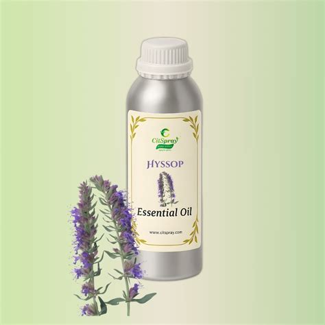 Hyssop Oil: Pure & Natural | CitSpray Aromatherapy – Mangalam Agro
