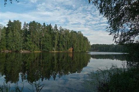 Луковое озеро (Ногинский район, Московская область): отдых, рыбалка