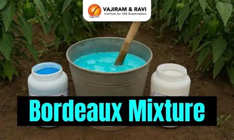 Bordeaux Mixture, Discovery, Latest News