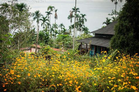 The Cleanest Village In Asia: All About Mawlynnong In 2025