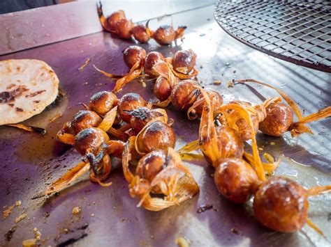 El Salvador Famous Food