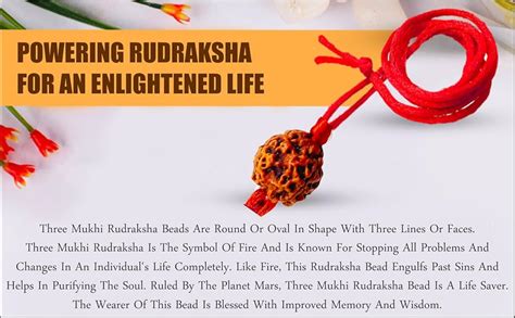 Natchcart Unisex 3/ Three Mukhi Rudraksha Bead Lab Certified Original ...