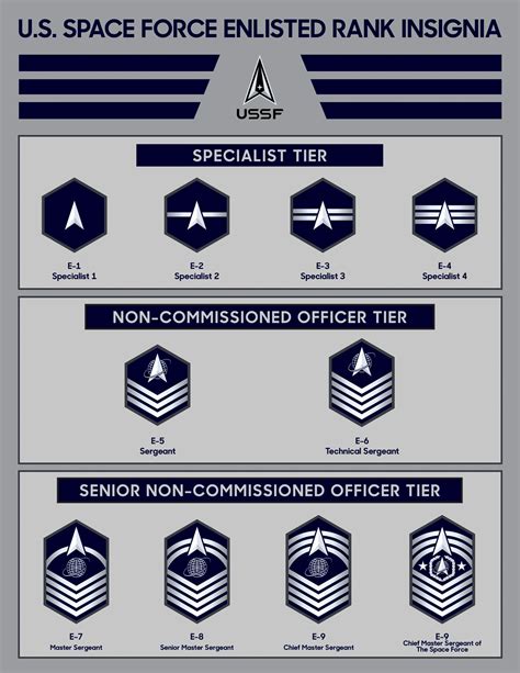Space Force Uniforms and Ranks 的图像结果