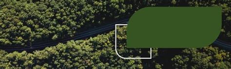 Buy C.S.M Dry/Wet Body Brush Online at Low Prices in India - Amazon.in