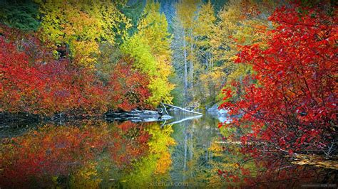 가을(秋天)에 대한 아름다운 중국한시 모음 : 네이버 블로그