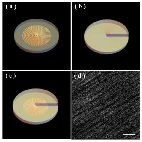 Generation of Vector Vortex Beams Based on the Optical Integration of Dynamic Phase and ...