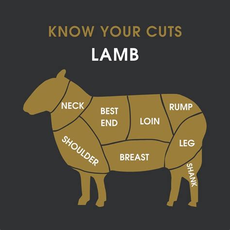 Lamb Meat Cuts Butchers Choice Grassfed Lamb Cut – Butcher Girls