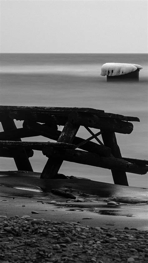 Download wallpaper 2160x3840 table, tree, coast, black and white ...