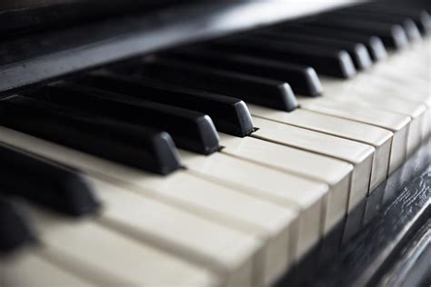 Image result for Piano Roblox Corpse Bride
