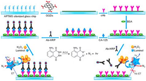 Applications of Graphene Quantum Dots in Biomedical Sensors