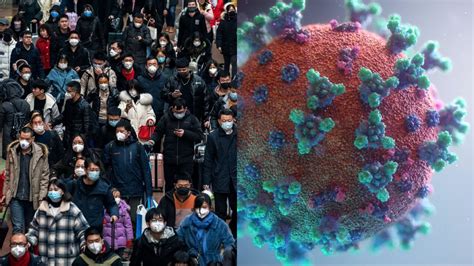 Trajectory of SARS COV2 virus: Why continued genomic surveillance is ...