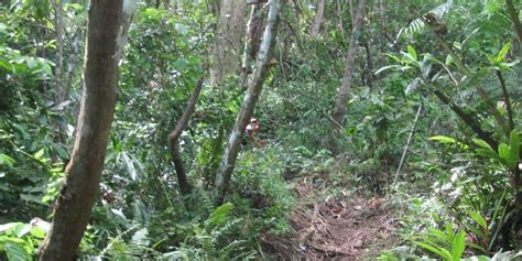 Labo Tourism (2023): Best of Labo, Philippines - Tripadvisor