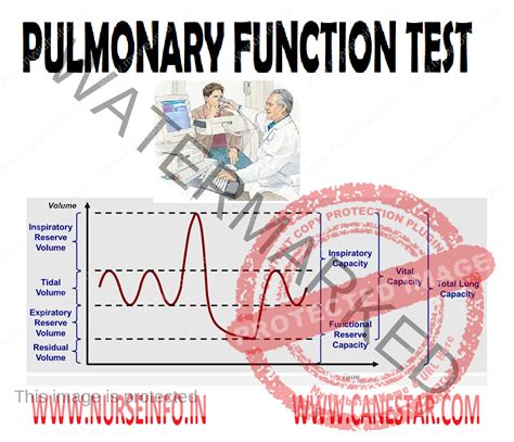 What Is A Lung Functioning Test at Celia Morgan blog