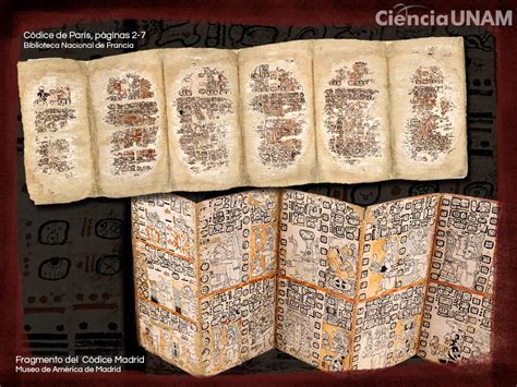 Image result for Codices Mayas Significado