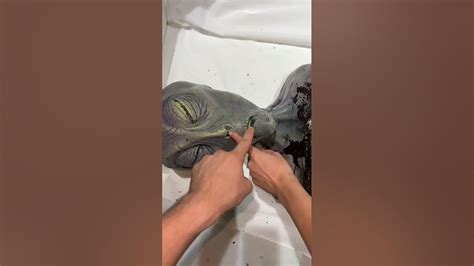 Image result for Alien Hote Hain