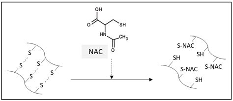 Advances in the Use of N-Acetylcysteine in Chronic Respiratory Diseases