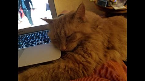 Image result for Computer Problems YouTube