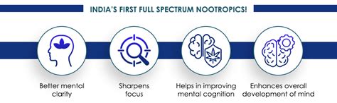 'Brain Pro' - Advanced Nootropics for Peak Memory, Focus & Clarity ...