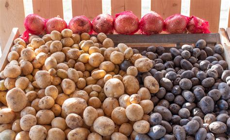 Crop growers and Cantwell press for Washington state Farm Bill ...