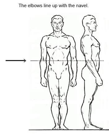 7 Figure Drawing Proportions to Know