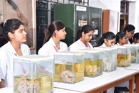 Meenakshi Medical College and Research Institute, Maher University ...