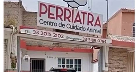 Cuánto cabrón / En inglés es el Dogtor y en español...