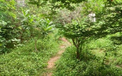 Best Running Tracks In Delhi | WhatsHot Delhi Ncr