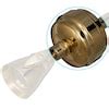 Sprite Metal Slim Line Gold Chlorgon 2.5-GPM Shower Head Filter (6 ...